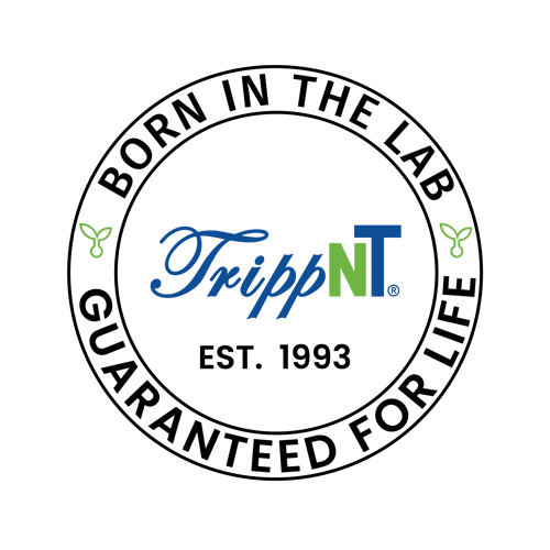 Born in the lab Seal - Color